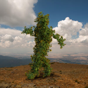 Modelo 3D con partículas