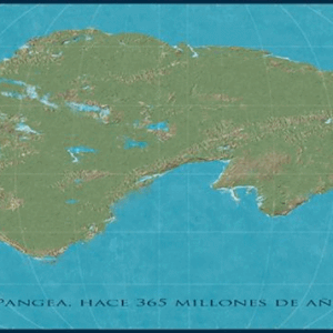 Pangea