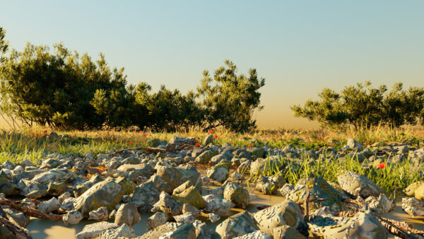 Bioma_Blender